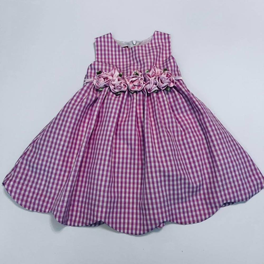 Baby Togs Pink Gingham Dress with Ribbon Roses Size 2T